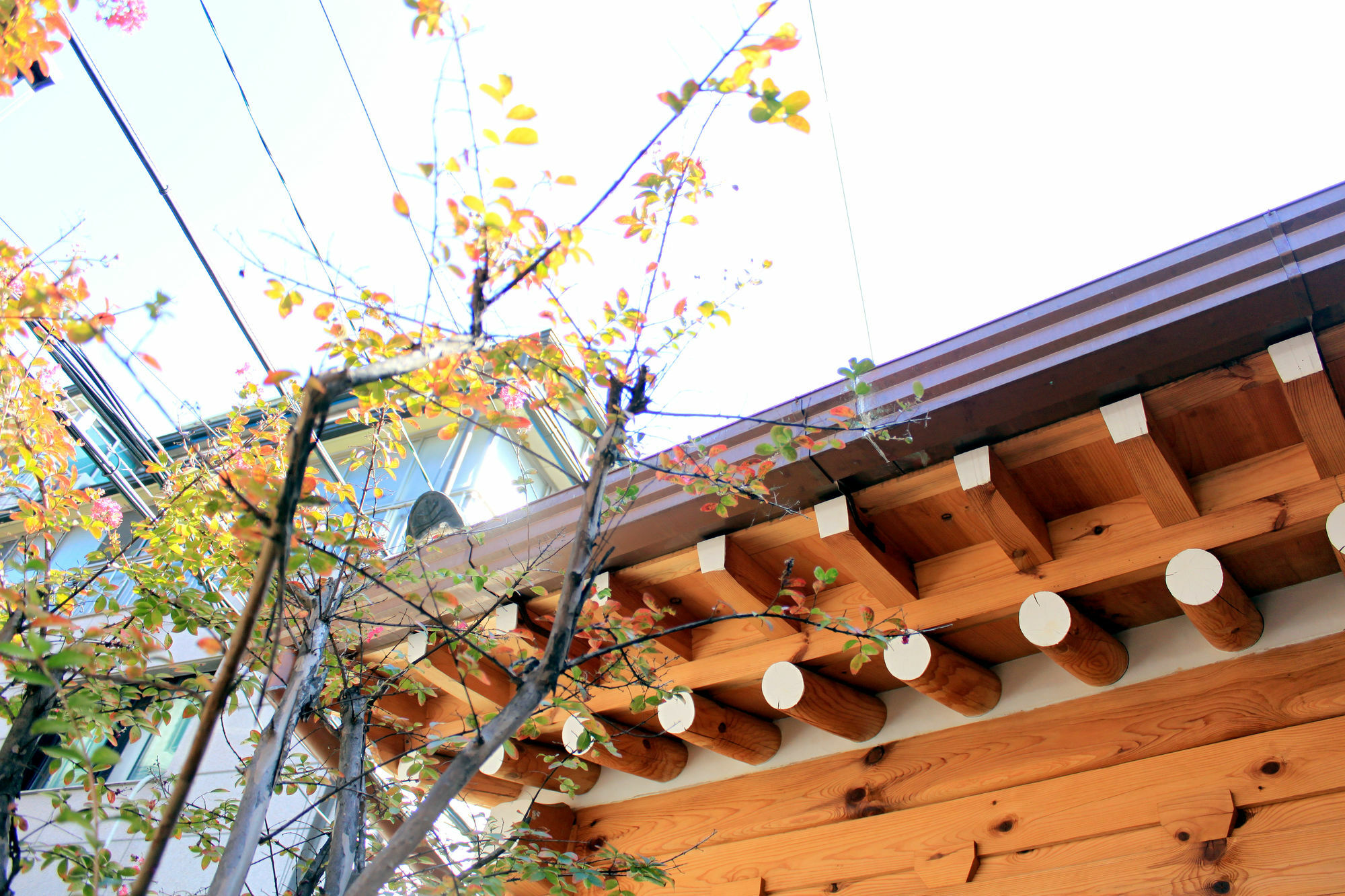 Hanok 24 Guesthouse Gyeongbokgung Seoul Exterior foto